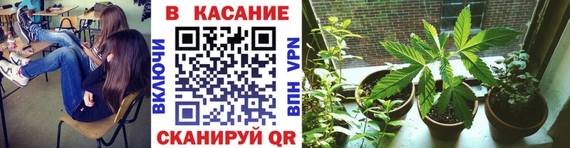 Купить закладку ГАШ  Alpha-PVP  Галлюциногенные грибы  Конопля  Cocaine  ГЕРОИН  АМФ  Мефедрон  Таруса