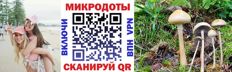 Псилоцибиновые грибы Cubensis  Купить закладки  Таруса 